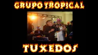 Grupo Tropical TUXEDOS BANDS 503 78921090 21242701 y 71243254 [upl. by Mistrot]