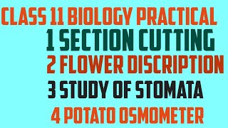 Class 11 biology practical core experiments and slide [upl. by Eddra]