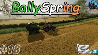 STRAW AND COWS  Ballyspring Episode 18 [upl. by Venice]