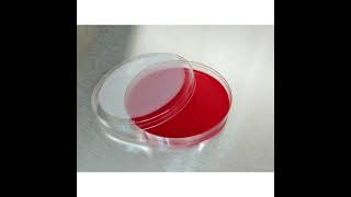 PREPARATION OF BLOOD AGAR [upl. by Nedgo980]