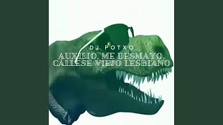 Auxilio Me Desmayo Cállese Viejo Lesbiano [upl. by Yesac]