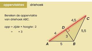 Wiskunde VMBO  Oppervlakte driehoek met hoogtelijn [upl. by Treacy767]