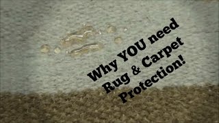 Carpet Cleaning Rochester NY  Carpet and Rug Protector demonstrated [upl. by Benjamen963]