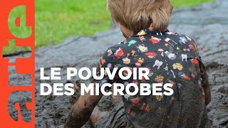 Vive les microbes   ARTE [upl. by Julissa]