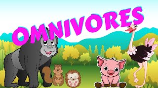 Omnivores  Types of Animal  Science for Kids [upl. by Cissy]