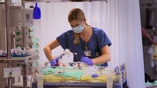 Dipl Pflegefachfrau 90  100 DN II HF FH für die Klinik für Neonatologie [upl. by Cohe540]