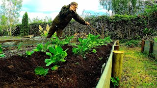 quotHarvester of Potatoesquot Abandoned Allotment Part 7 [upl. by Sarah]