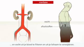 Nieraandoening  Oorzaak en behandeling [upl. by Ettennyl936]