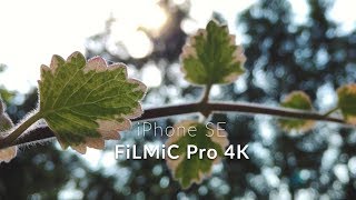 iPhone SE  Cinema 4K 24fps  FiLMiC Pro [upl. by Asilej]