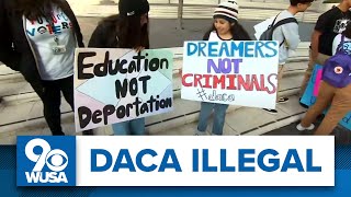 Court declares DACA program illegal protests planned in nations capital [upl. by Atinyl681]