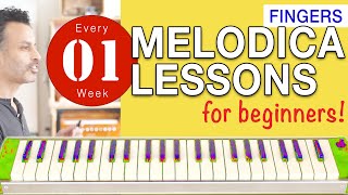 Melodica Lessons for Beginners 01 Fingers [upl. by Kecaj]