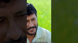 Buner Vines new video 2024 [upl. by Liatris]