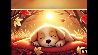 Puppys Autumn Nap [upl. by Hourihan]