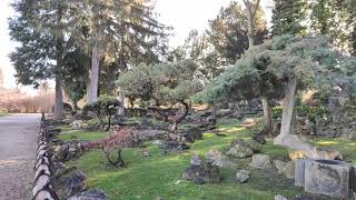 Spaziergang Denkmal Japanischer Garten Schönbrunn [upl. by Watts]