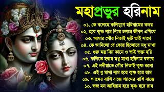 Horinam Hit Songs  Sokaler Kirton Song  রাধা কৃষ্ণের গান  Horinam Songkirton  Bangla New Horinam [upl. by Eijneb857]