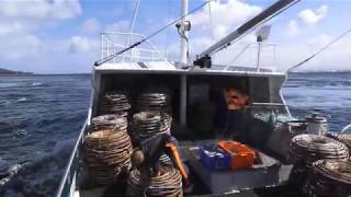 CRAYFISHING ON THE WESTCOAST OF TASMANIA NEW SHELLERS 2019 [upl. by Cassandra405]