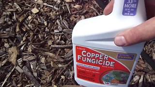 Copper Fungicideproduct review [upl. by Trebron723]