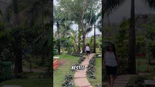 Beach front resort in Arambol Goa ytshorts goadiaries goastay viralvideos [upl. by Dalury680]