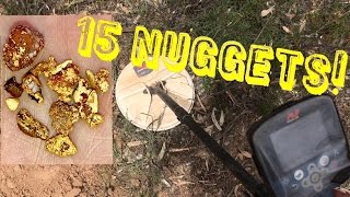 15 NUGGETS in 1 DAY Gold Detecting w Minelab GPZ 7000 [upl. by Edwina748]