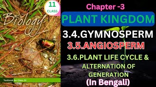 Class 11 Plant Kingdom part 2theory from ncertbiology for neet aiims nurshing Harunbiozone [upl. by Jandy]