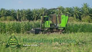 Cattle Feed Harvesting Process [upl. by Damahom956]