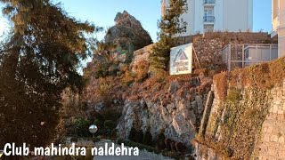 EP15  Club Mahindra Naldehra Tour  Best resort in Naldehra [upl. by Herbie]