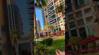 Khalidiya Palace Hotel abudhabi hotel palace holiday beatiful [upl. by Prinz]