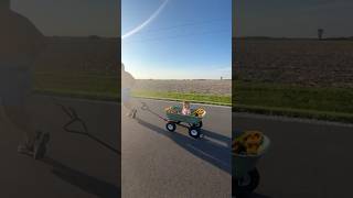 when we visit my parents in small town Indiana 😂 backroads amp baby wagon rides familyfun [upl. by Offen]