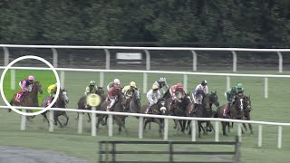 What have we just seen Amazing comefrombehind winner on last day at Galway [upl. by Chalmers118]