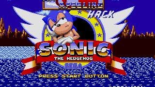 An Apeeling Sonic Hack By VAdaPEGA  SHC2015 Hack Review [upl. by Analihp]