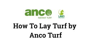 How To Lay Turf  Step by Step Laying Turf Video by Anco Turf [upl. by Nawaj564]