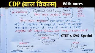 Learning theory Operant conditioning theory of bf skinner hindi with notes imp for CTET KVS NVS [upl. by Eiclehc]