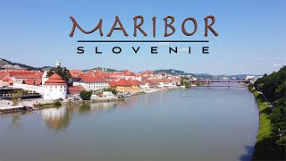 Visite de Maribor en Slovénie [upl. by Yanad834]