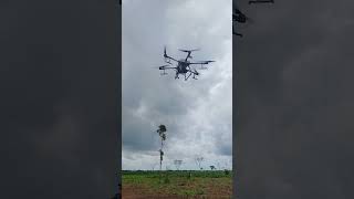 dispersão de sementes com drone agrast30 [upl. by Maxma]