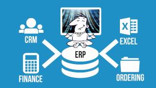 What is ERP software [upl. by Nodnarbal]