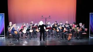 WA Classical Guitar Society Orchestra plays Alegria by Paul Svoboda [upl. by Annabel]