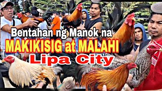 EP 18 Bentahan ng Makikisig at Malalahi na Manok Lipa City Batangas [upl. by Anitsim434]