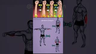 Forearms amp Bicep amp Tricep exercise At home 💪 gym homegym homeworkout subscribegym shorts [upl. by Anaili]