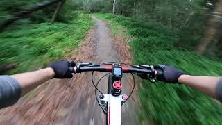 Mountain Bike Riding MTB Yarra River Trail Single Track Melbourne Victoria Australia [upl. by Vivi669]