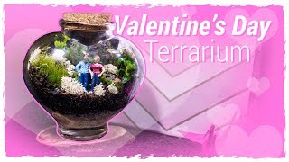 Say quotI Love Youquot With a Valentines Day Terrarium [upl. by Handbook]