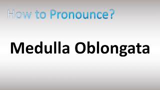 How to Pronounce Medulla Oblongata [upl. by Nikolaos]