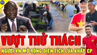 🔴THẾ GIỚI KINH NGẠC Team Quang Linh Vlogs VƯỢT HÀNG NGHÌN KM ĐƯA CÂY LÚA NƯỚC TRỒNG KHẮP BẢN LÀNG CP [upl. by Manny]