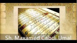 Tafsiir Surah 111 AlMasad ۞ Sh Maxamed Cabdi Umal [upl. by Thetis991]