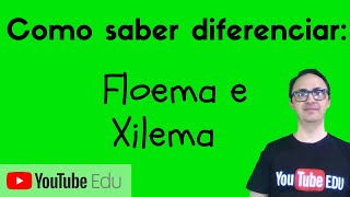 Diferenças entre Xilema e Floema [upl. by Si]