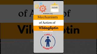 Vildagliptin neetpg mbbs action [upl. by Aleel]