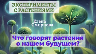 Что говорят растения о нашем будущем quotЭксперименты с растениямиquot Елена Смирнова [upl. by Aninaig]