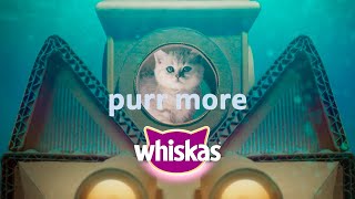 Curious kitten dives into delicious Whiskas® Junior [upl. by Afatsom378]