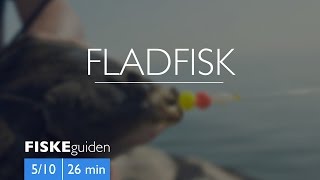 FISKEguiden 510 Fladfisk [upl. by Grenville257]