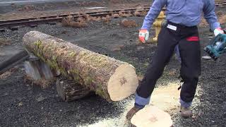 2017 11 03 makita electric vs gas chainsaw [upl. by Ingrim]