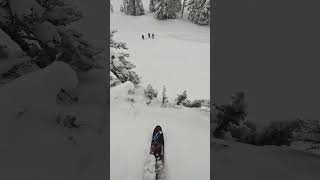 Fun drop in deep powder oakleyskiing armadaskis skiing powder powderskiing deepsnow [upl. by Emlynne]